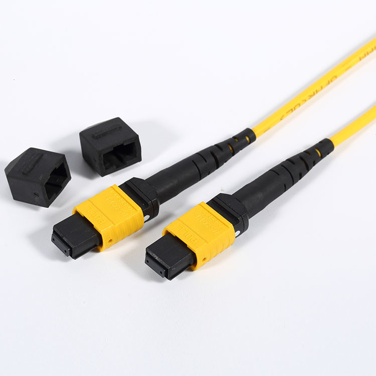 Buy cheap MPO MTP Fiber Optic Patch Cable 0.5dB Insertion Loss PVC Jacket 12 / 24 Cores product