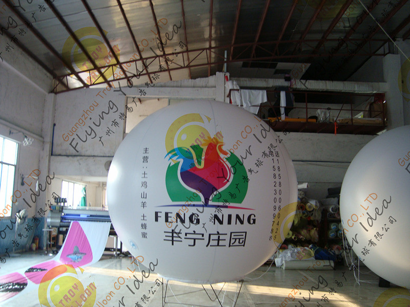 Buy cheap Eye - Catching Inflatable Advertising Balloon Digital Printing for Exhibition product