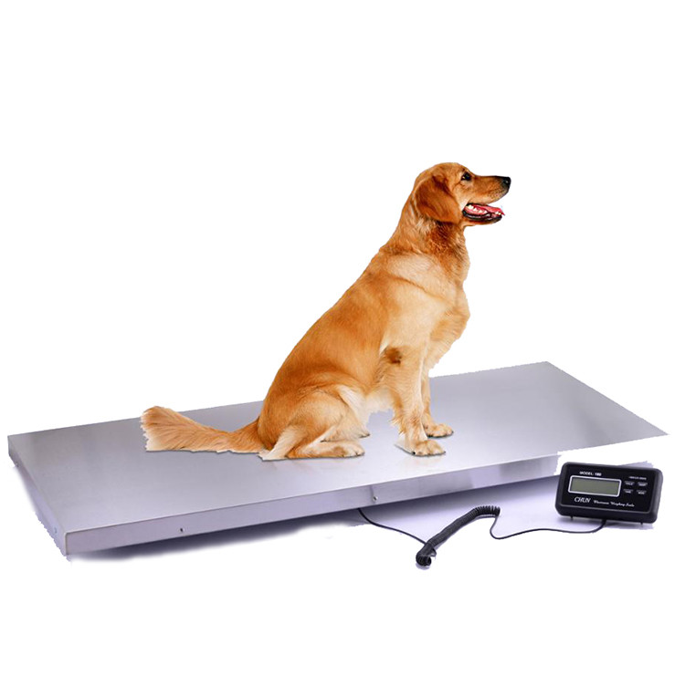 China 1 Ton Digital Wireless Floor Scale Electronic Weighing Scale on sale