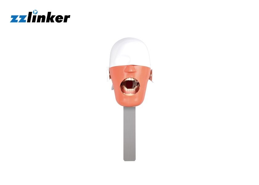Buy cheap Practicing Dental Simple Teaching Phantom Head for Clinic School Exhibition product