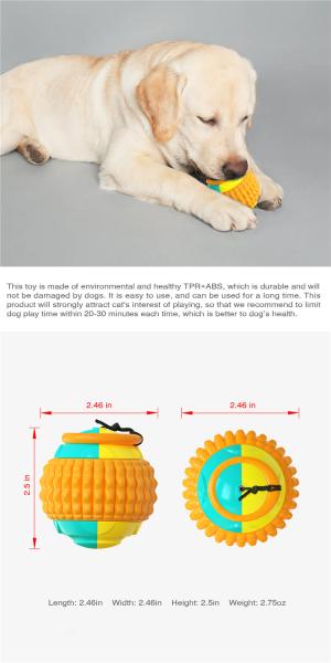 Suction Cup Push Elastic Ropes Pet Tooth Cleaning Chewing Playing Puppy Cats Indestructible Dog Toy