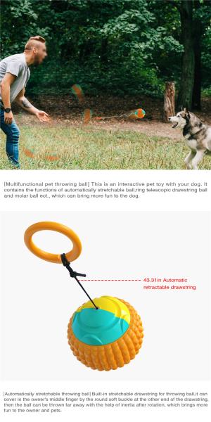 Suction Cup Push Elastic Ropes Pet Tooth Cleaning Chewing Playing Puppy Cats Indestructible Dog Toy