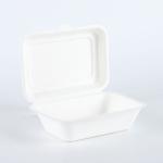 Eco-Friendly 100% Compostable Sugarcane/Bagasse Heavy Duty container