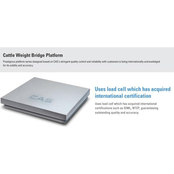 5000kg Floor Weighing Scale