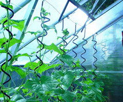 China Tomato Spiral Stakes/Growing Spiral Wire on sale