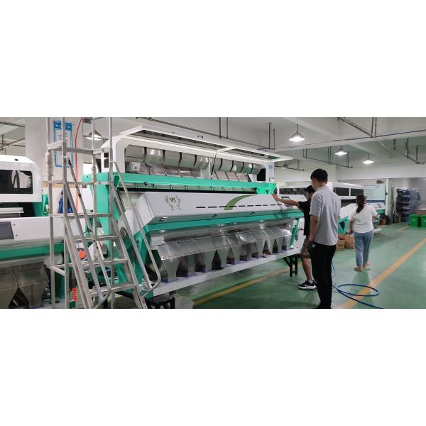 3t/H Sacha Inchi Sorting Machine CE Certificated Intelligent