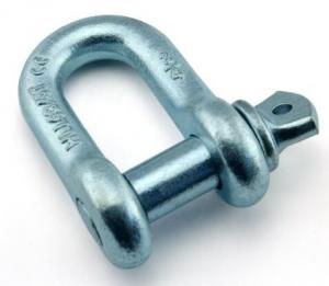 Buy cheap G210 US Standard Drop Forged D Shackle with Screw Pin, Screw Pin Chain Shackle product