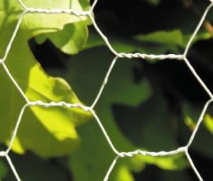 China Acid Resistance Stainless Chicken Wire For Poultry Fencing And Gabions In Roll on sale