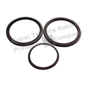 3095043 3095042 8159000 20518642 Front Wheel Oil Seal VOLVO Shanxi