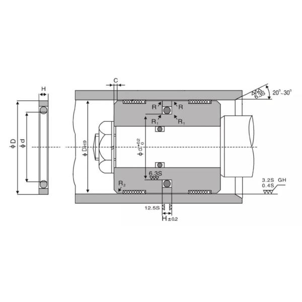 Hydraulic Piston SPGO Seal / Glyd Ring / GSF Seal Compact Rod Piston Seals / Piston Ring Seal