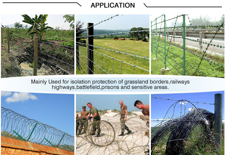 450mm Diameter Galvanized Barbed Razor Wire for Anti Climb Protective Construction