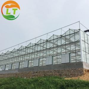 Buy cheap Flower Vegetable Growing High Venlo Tempered Glass Greenhouse with Hydroponic System product