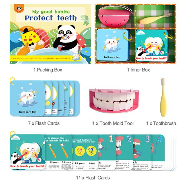 Stimulation Right Brain Training Flash Cards , Brush Teeth Preschool Learning Toys