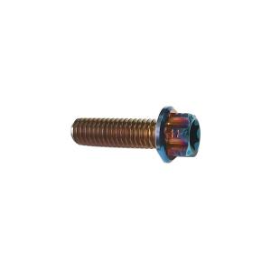 Anodized Titanium Torx Screws Perfect for Motorcycles Bicycles