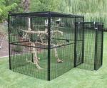aviary mesh for Medium Pet Birds