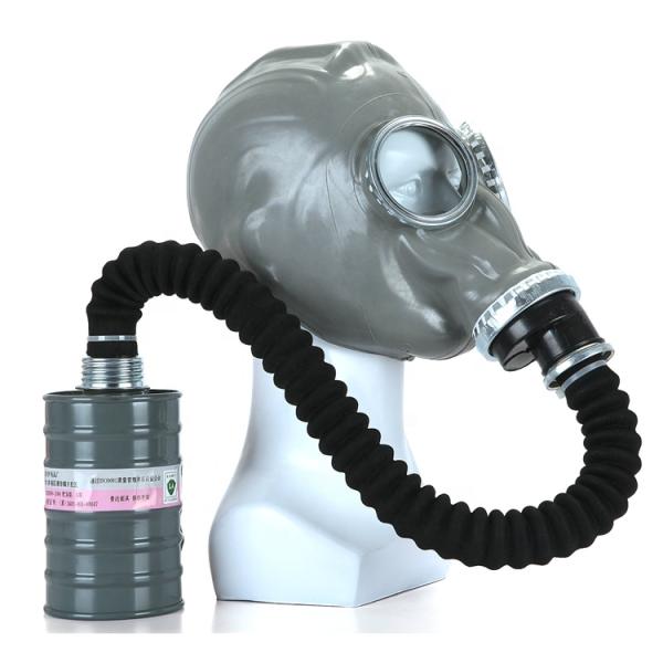 Full Face Respirator Gas Mask With Double Filters