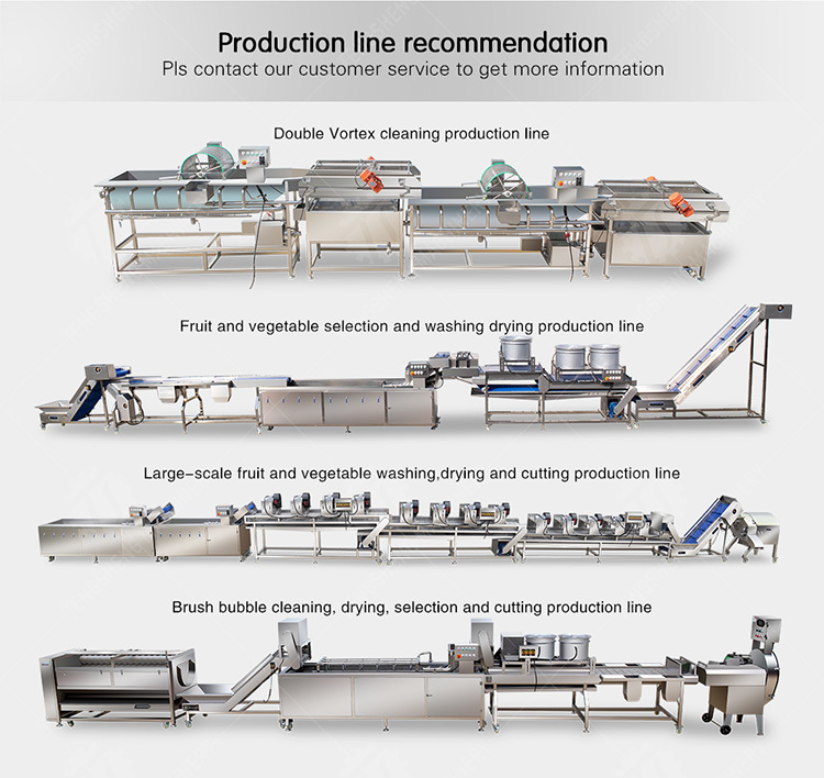 Vegetables bubble washing machine Wash Washer Washing Cleaning processing production Fruit Orange Vegetable Leaves Vegetables Herbs