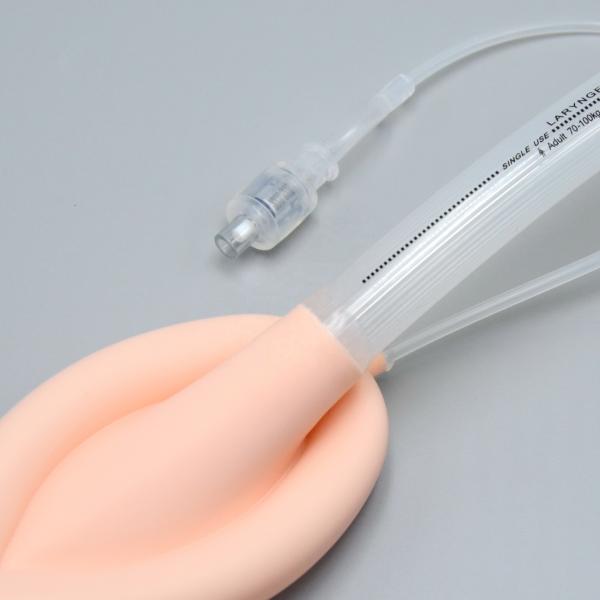 Size 3 Laryngeal Mask Airway