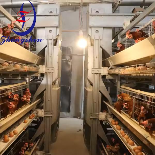 Layer Chicken Cage Accessories Automatic Feeder Trough Wheel
