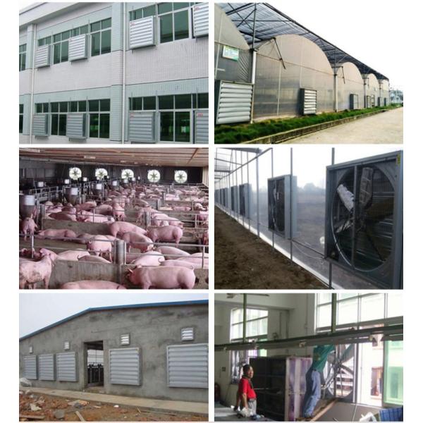 Hot Sales High Quality 54 Inch Exhaust Fan for Greenhouse or Poultry Farm or Pig House From China