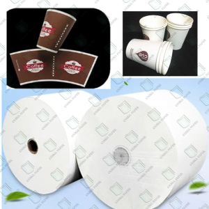 Buy cheap Eco PLA / PE Coated Paper For Ice Cream Cups product