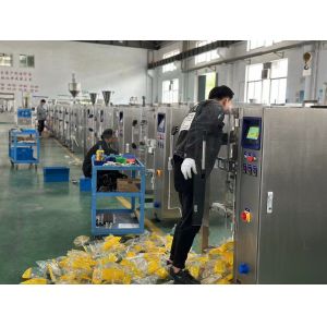 Multifunctional Powder Packaging Machine Auger Filling System Powder Sachet