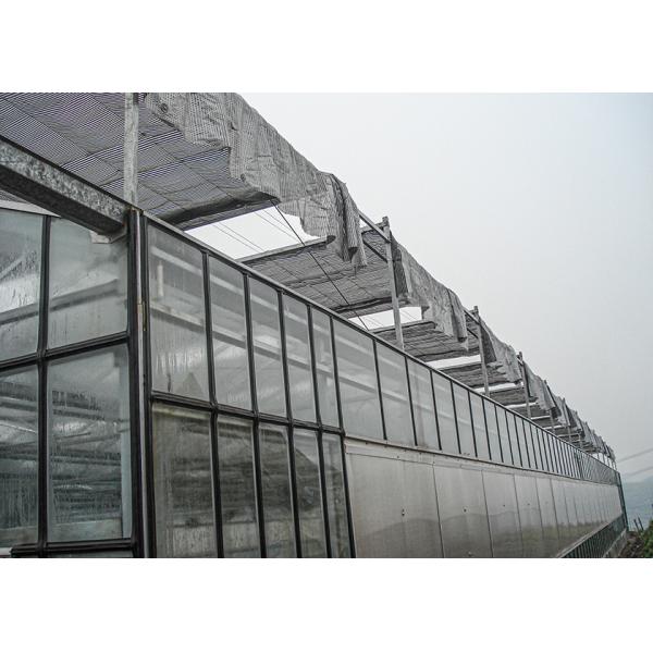 Transparent, Easy-Assemble Galvanized VENLO Greenhouses For Efficient High-Value Agriculture