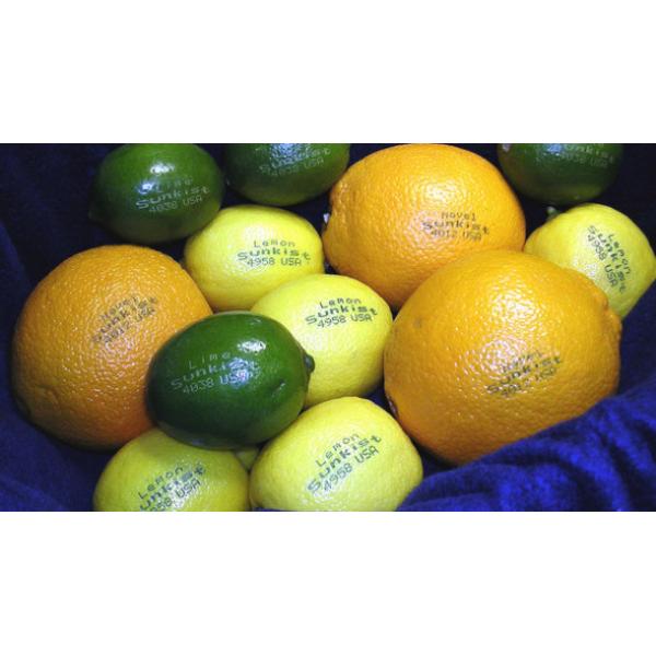 Logo Printing Automatic Laser Marking Machine Compact Structure Customized Marking Area