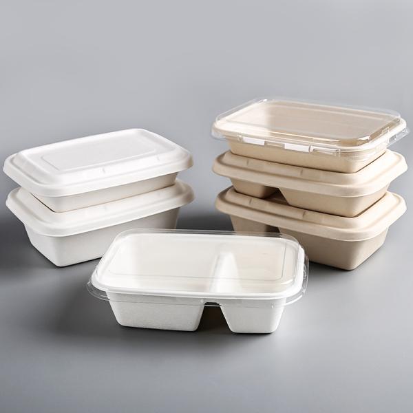 Eco Friendly Compostable Sugarcane Pulp Disposable Take Out Containers