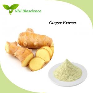 Buy cheap Relieve Nausea 5%-10% Gingerol Ginger Extract Natural Gingerol product
