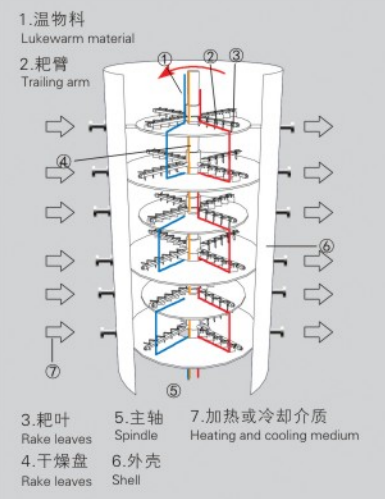 Stainless Steel Continuous Plate Vacuum Drying Machine