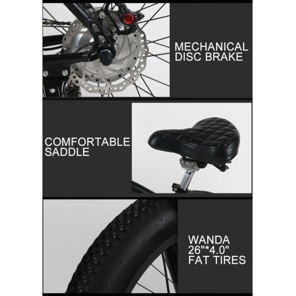 Mudguards Electric Fat Tire Mountain Bikes 26in With SR Saddle