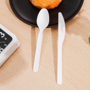 Compostable Disposable PLA Bioplastic Spoons Bulk Utensils 5.7 Inch