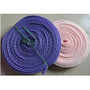 EPE Foam plastic roses net Extruder(FCEPEW-75)