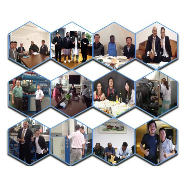 Carbon Steel SUS304 Material Industrial Ice Crusher Maker