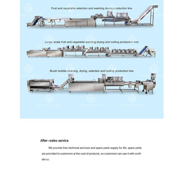 Vegetable Hair Roller Bubble Washing Selection Cutting Machine Production Line