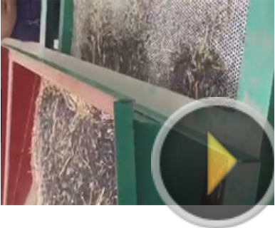 dust cleaning and pumpkin seeds Sieving Machine