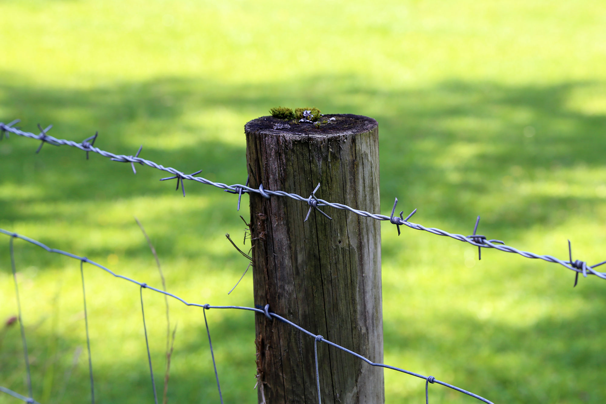 Newest Design Top Quality Electro Galvanized Barbed Wire Anti-climbing Barrier Barbed Wire Use For Protection