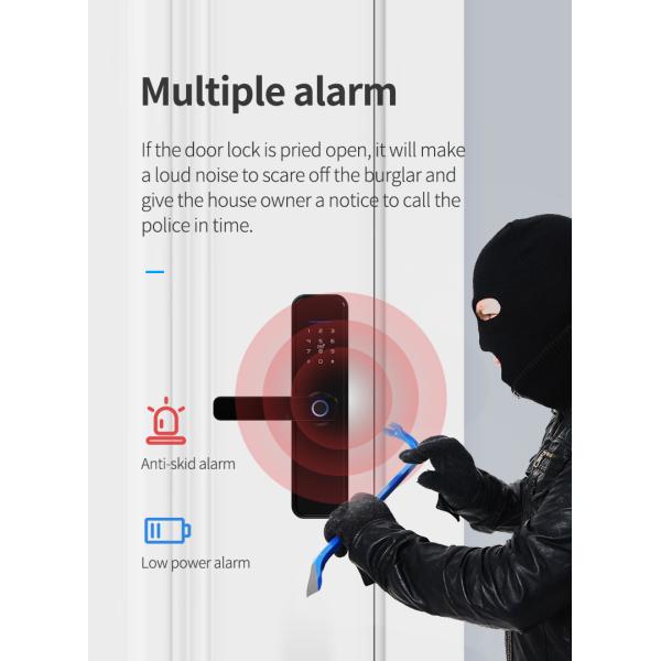 Zinc Alloy Metal Anti Thief Fingerprint Password Lock Tuya Smart Home Door Lock