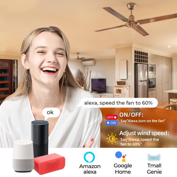 SMATRUL Tuya WiFi Smart Fan Speed Regulation DIY Mini Switch Module Remote Control Timer on Off 220V for Alexa Google Home