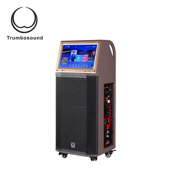 20KHz 95dB 10 Inch Trolley Active Pro Speaker For Tour Guide