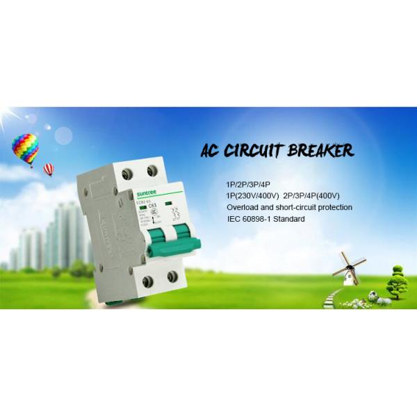 IEC60898 SUNTREE 2Pole 63Amp AC Circuit Breaker
