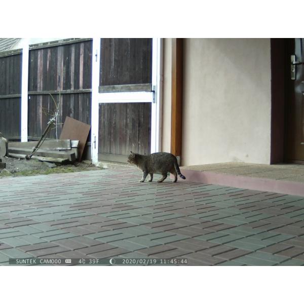 Wildlife Trigger Night Vision Trail Camera 2.0 Inch TFT Display