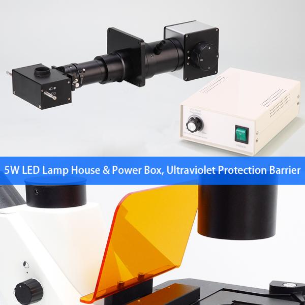 Inverted Fluorescence Led Digital Microscope