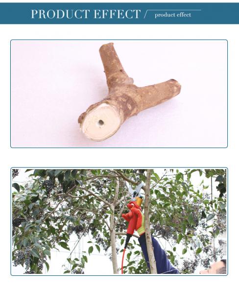 Swansoft 4.0CM Electric Pruner Lemon Tree Branches Cutting Electric Pruning Shears