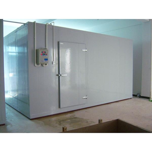 Commercial Cold room price 20ft container walk in freezer cold storage for keep fresh fruits /vegetables /fish/transportation