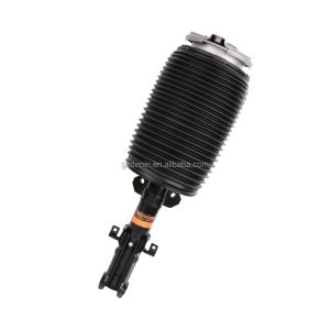 China Mercedes-Benz GLS Class 1673201103 Air Suspension Shock Absorber on sale