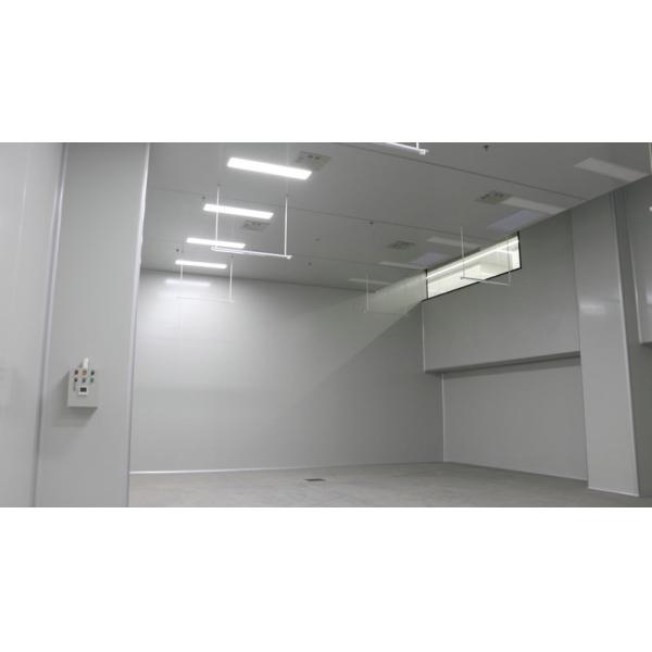 Clean Room 75mm 100mm Polyurethane PU Ceiling Panel