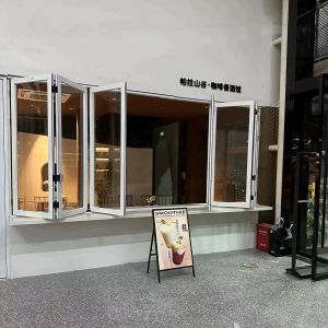 Folding Windows Zurich | Swiss Precision Engineering