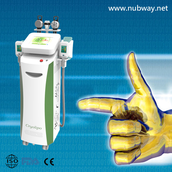 Buy cheap Newest amazing result cellulite reduction cryolipolysis to lose weight product
